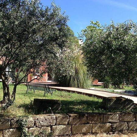De La Suite Dans Les Oliviers Gallargues-le-Montueux Kültér fotó
